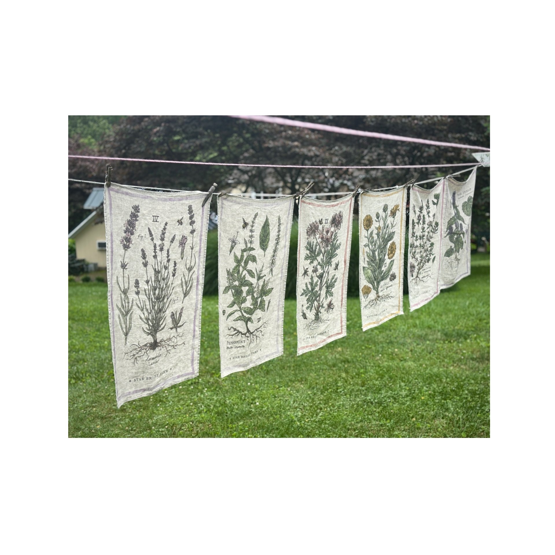 100% linen Kitchen Towels : Herb Collection