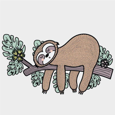 Sloth.jpg