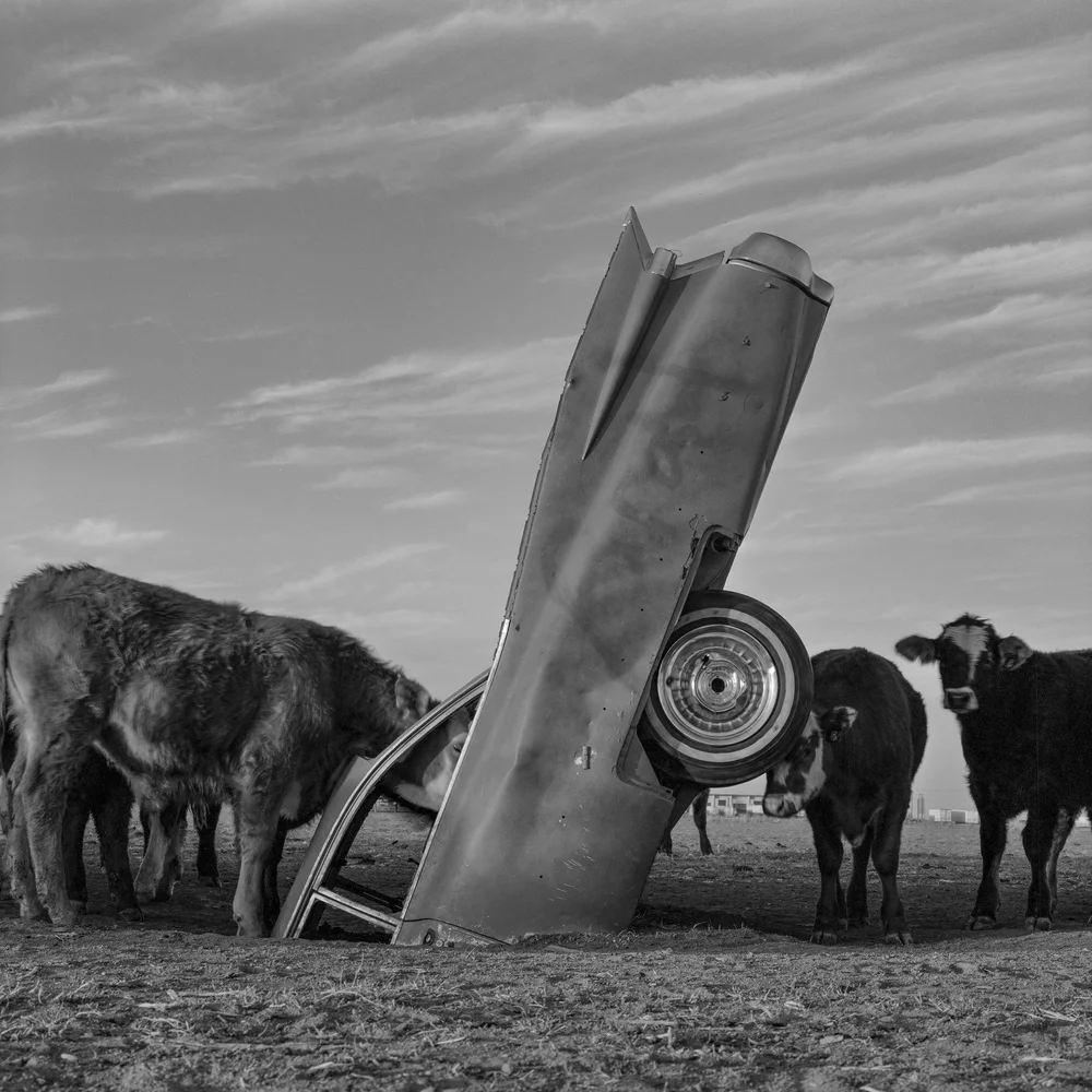 Iconic American art installation and destination Cadillac Ranch ...