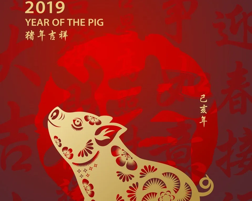 cny-year-of-the-pig-5c06b34d46e0fb0001b51fc5.jpg