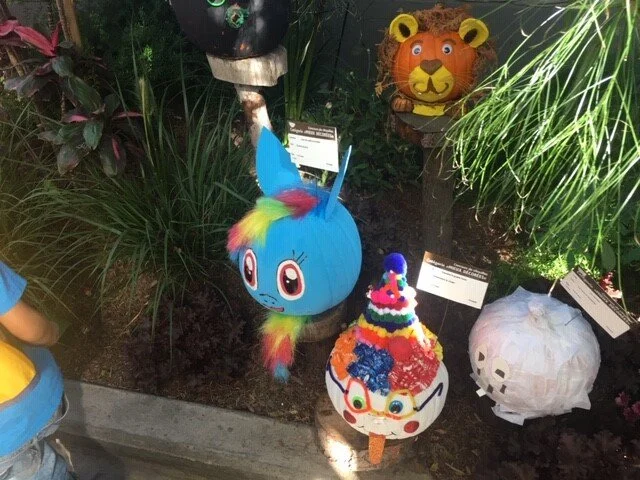 Botanical Garden-2019.jpg