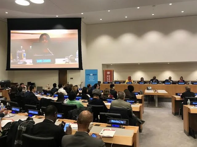 Danei speaking at the United Nations
