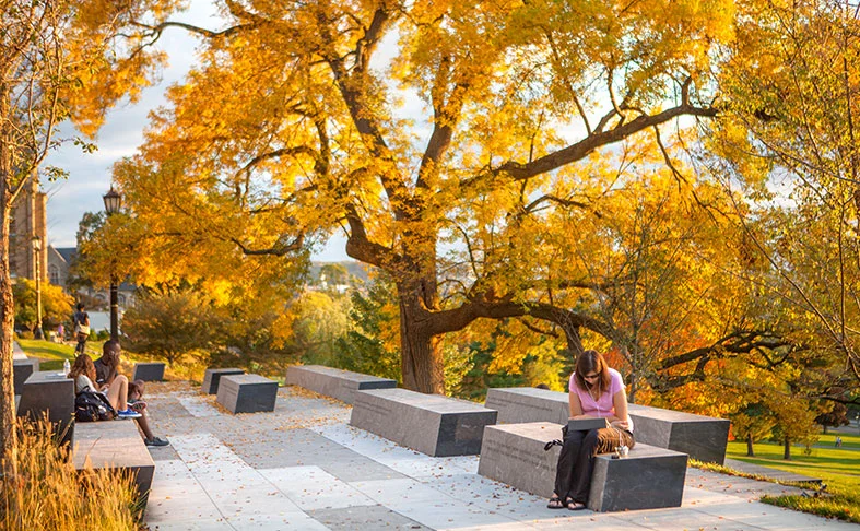 Cornell University, Ithaca, NY