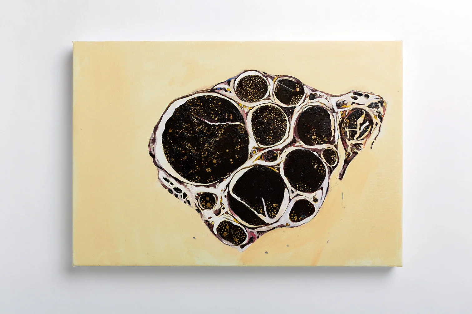 Myelin by Jessica Helfand