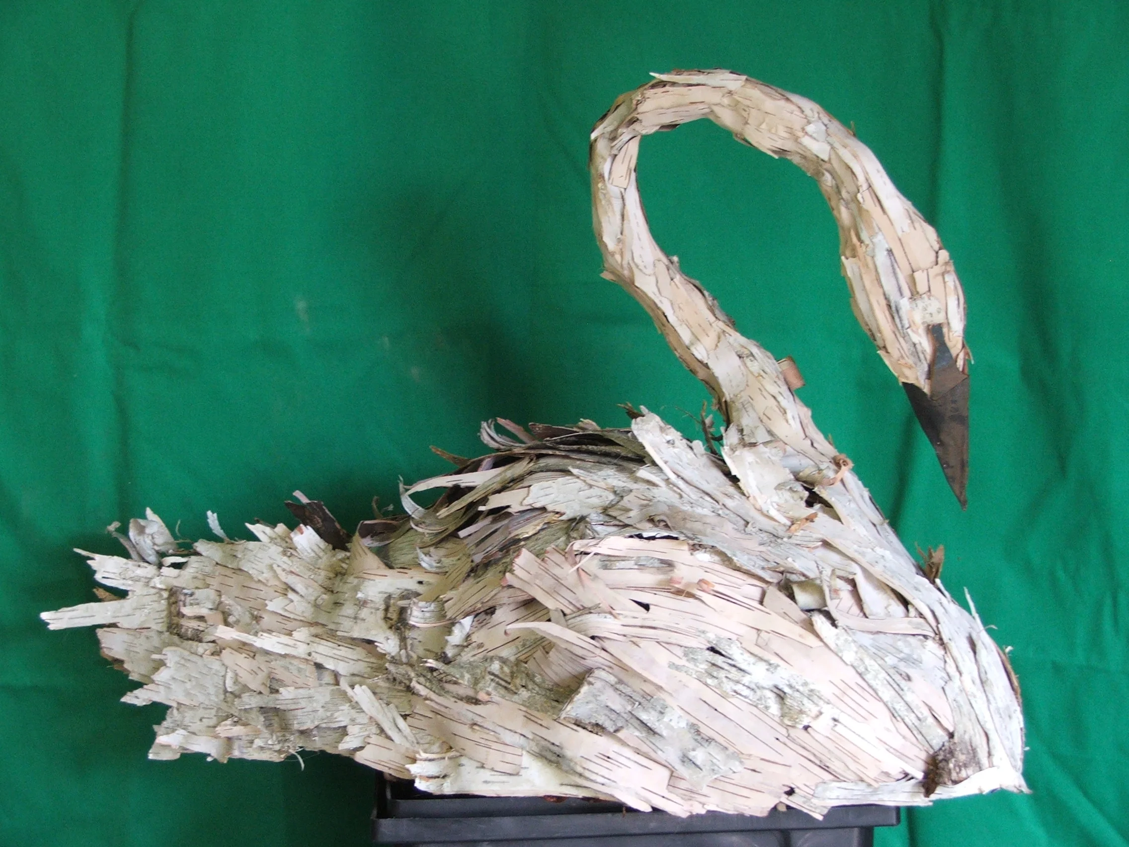  Birch Bark Swan 