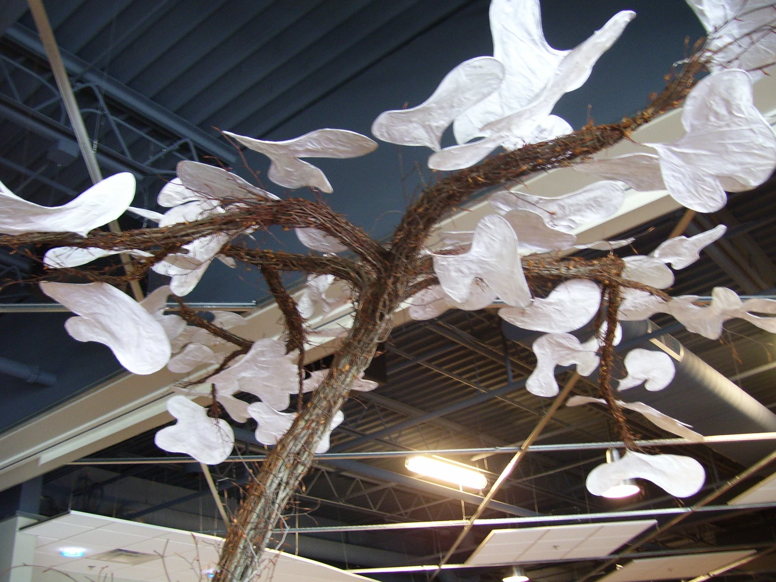  360 Event Center Installation 