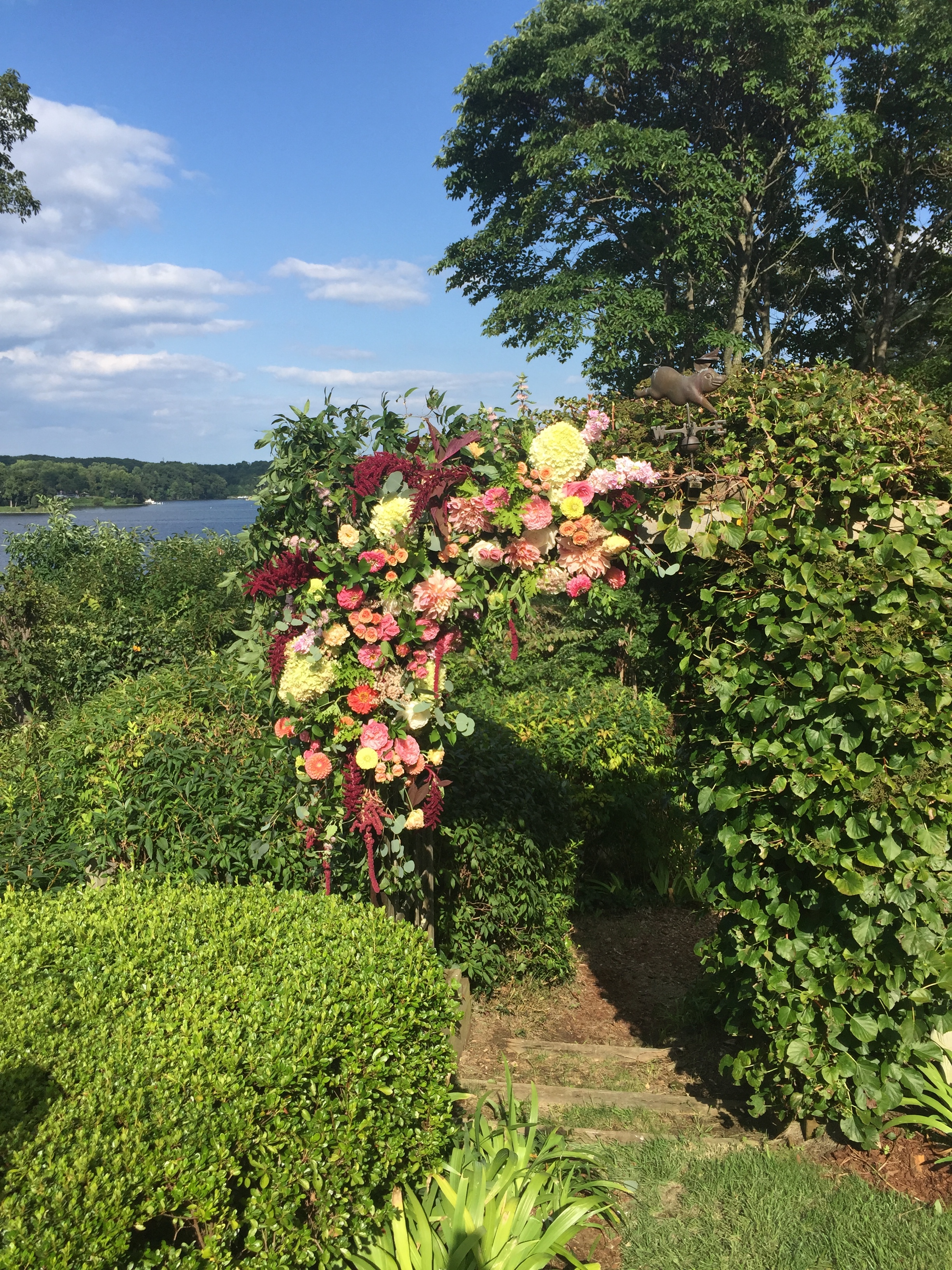   Victoria Clausen Floral Events  /&nbsp;Arch decor 