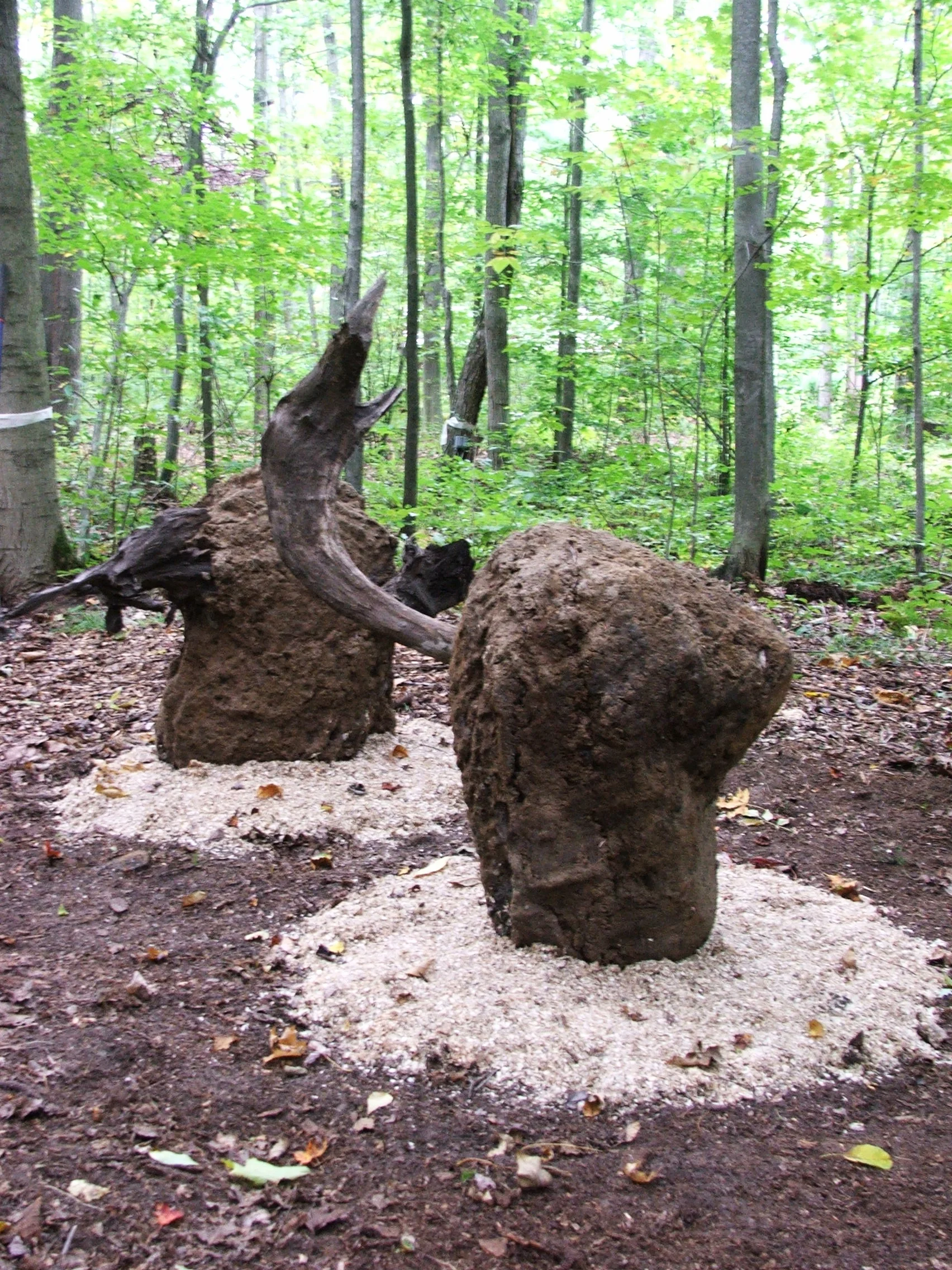  Hypertufa Sculptures 