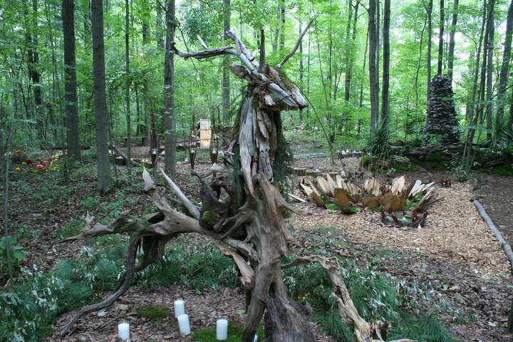 Driftwood stag