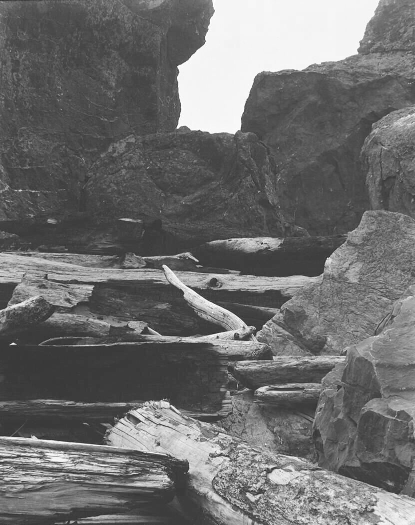Edward Weston, Moonstone Beach, 1937.
