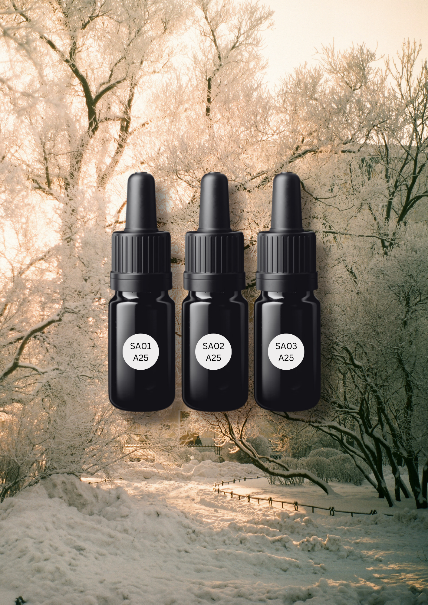 Subscription: Seasonal Scent