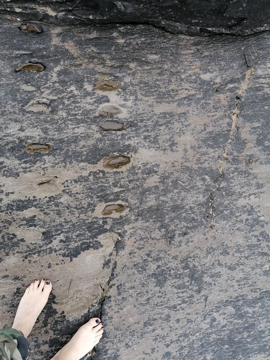 Tetrapod prints.jpg
