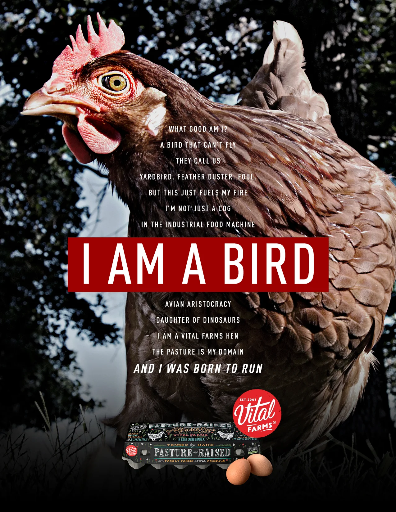 IAmABird_Print.jpg