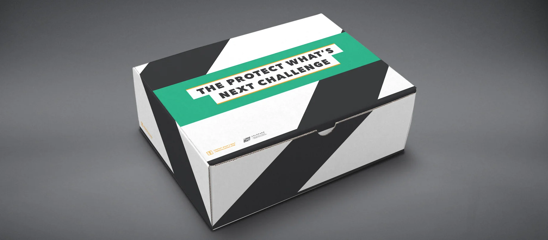 CMJ_17_Challenge Kit_Box2_COMP.jpg