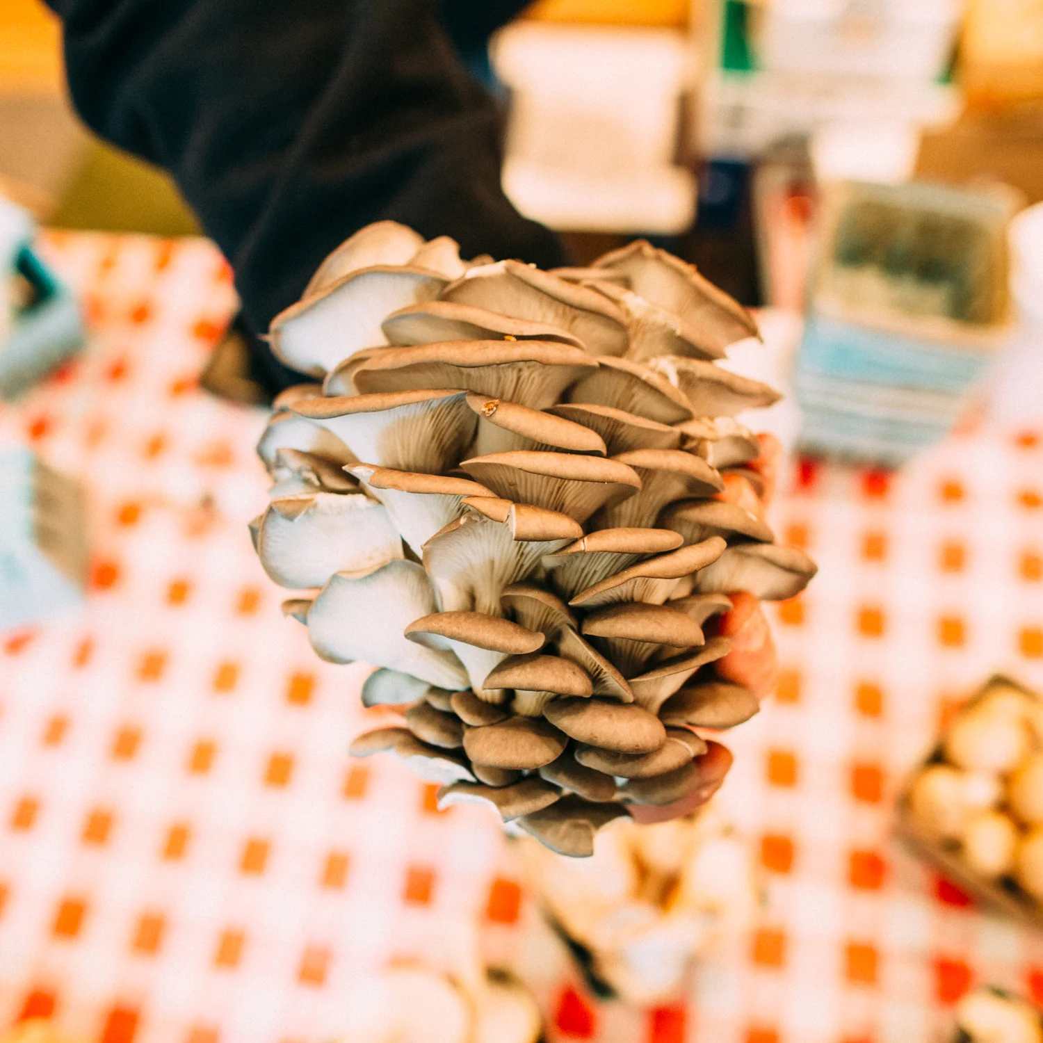 Summer Market Series - May 17th