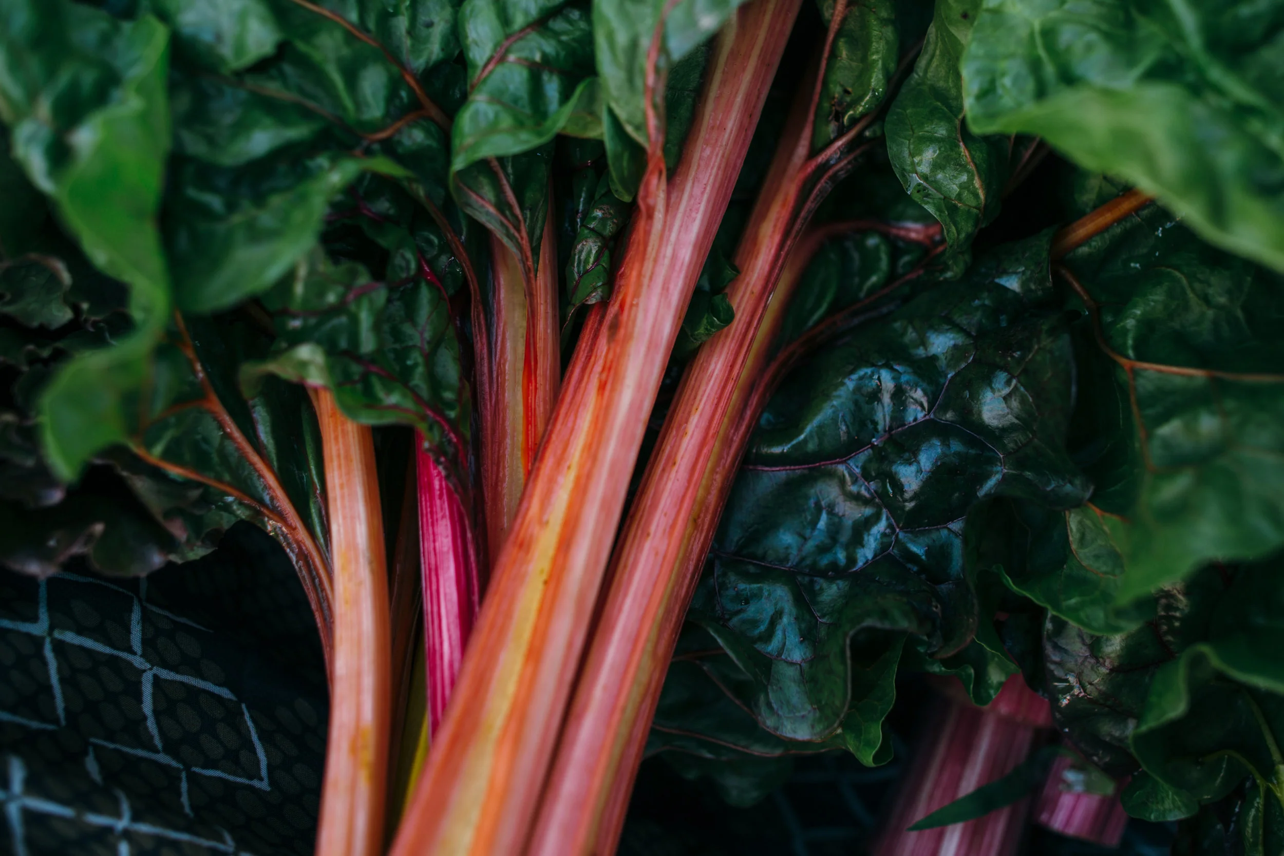 Summer Market Series - May 24