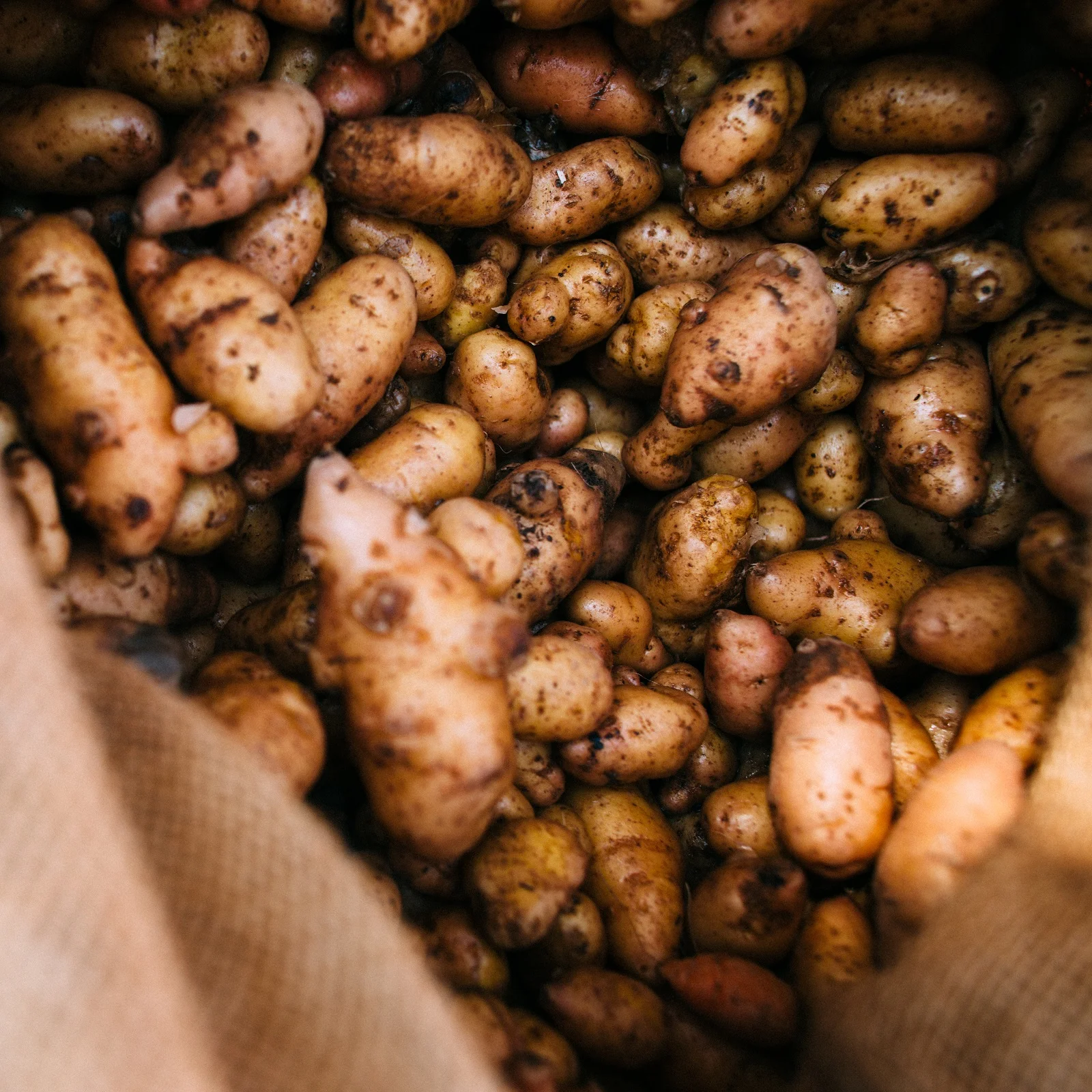 Summer Market Series - May 31