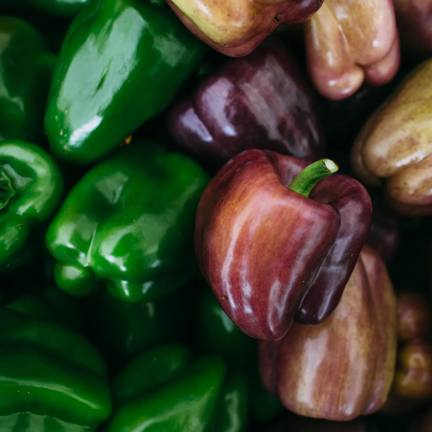 Summer Market Series - June 7