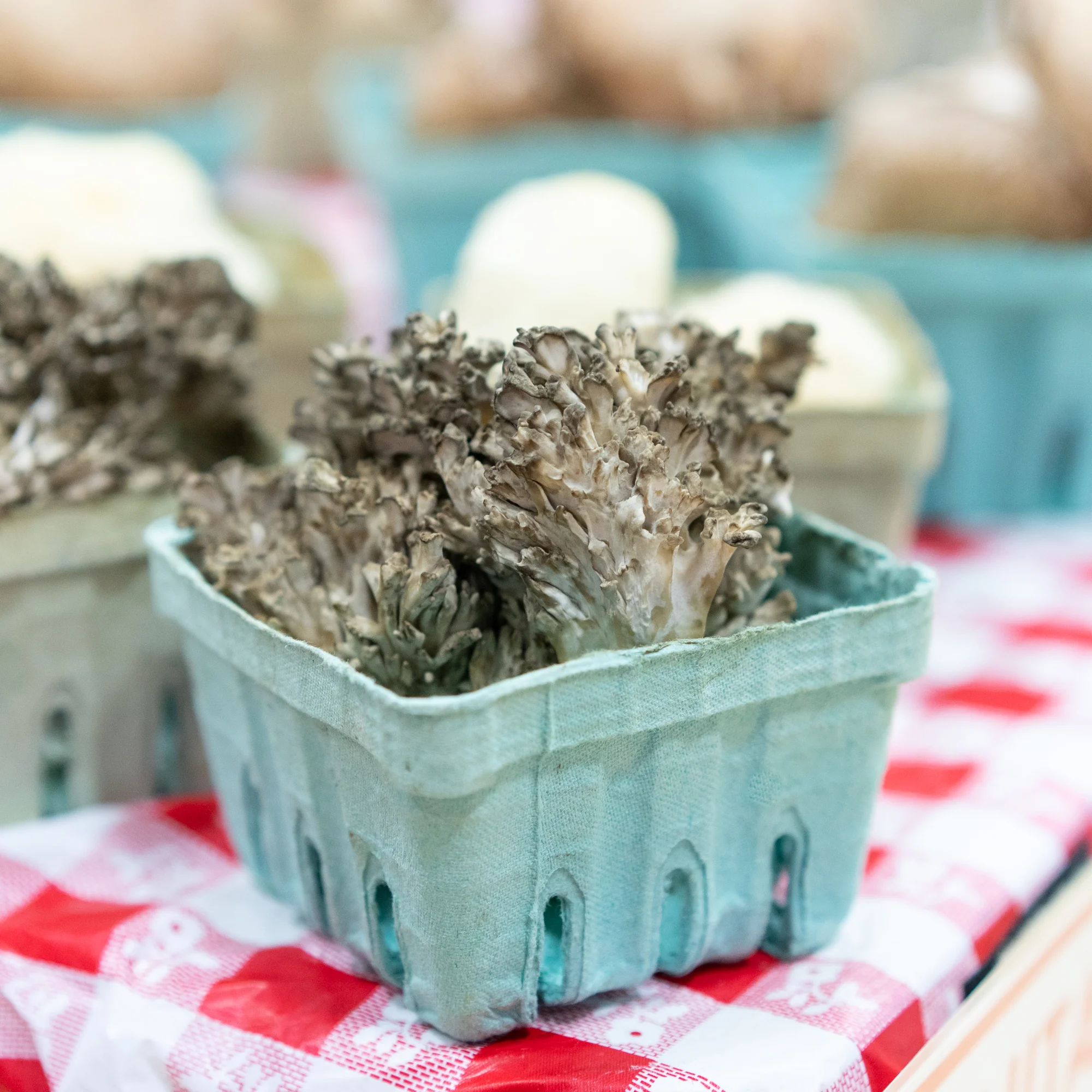 Winter Market Series - February 7