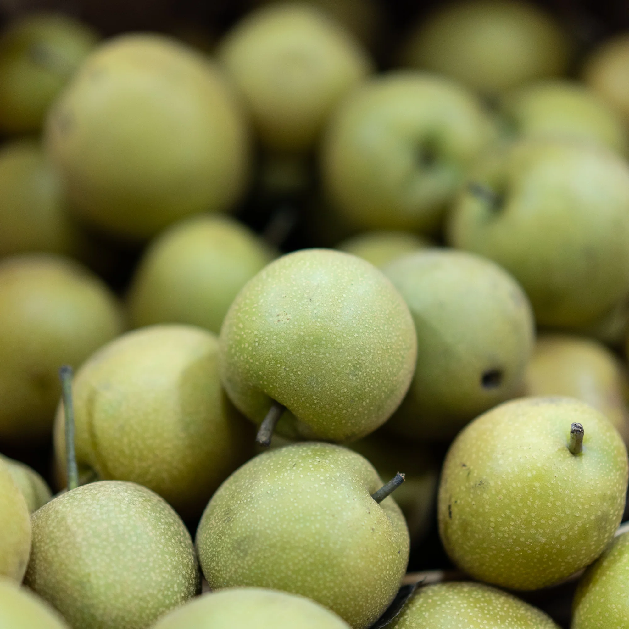 Winter Market Series - March 7