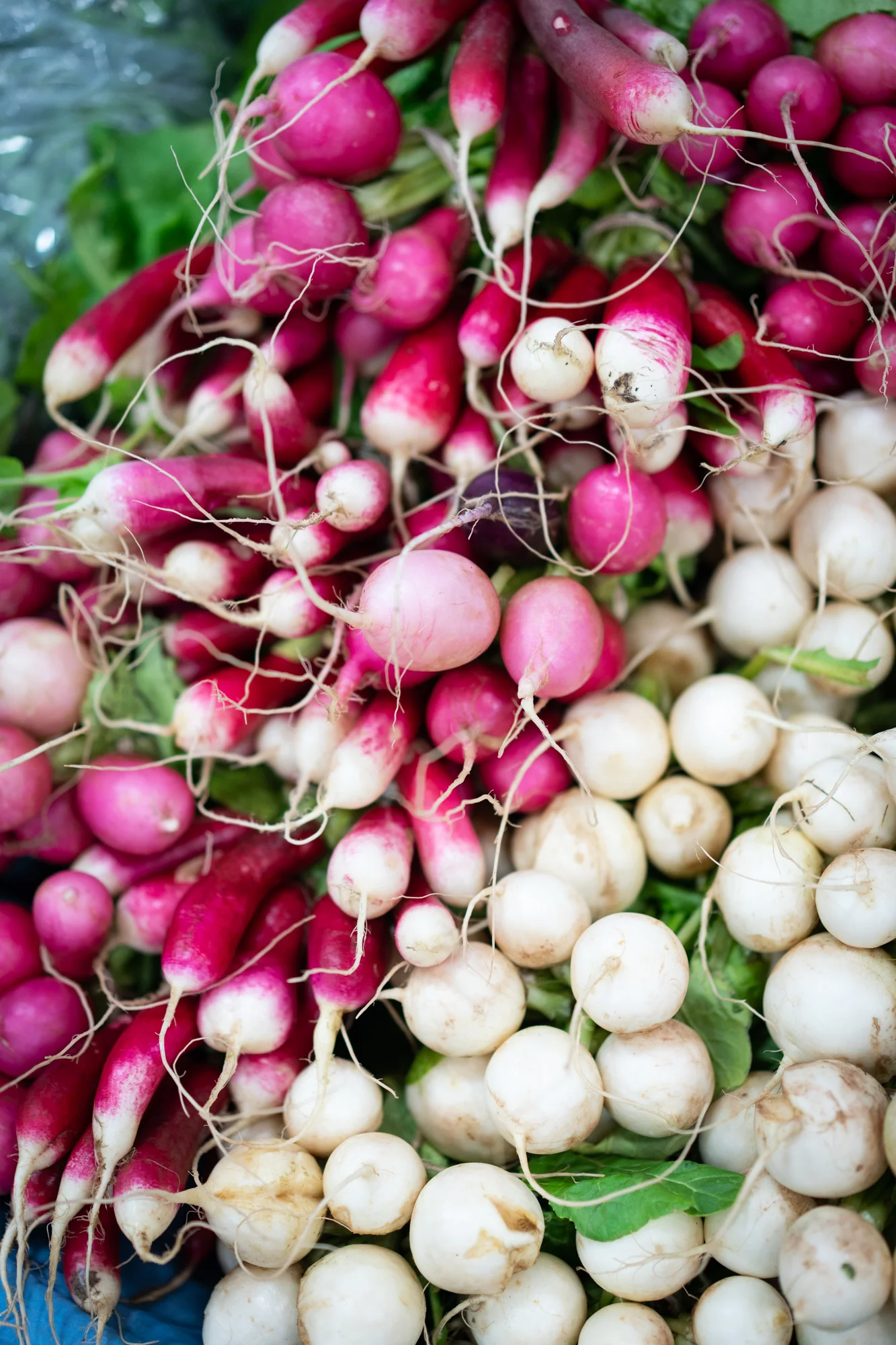 Winter Market Series - April 25