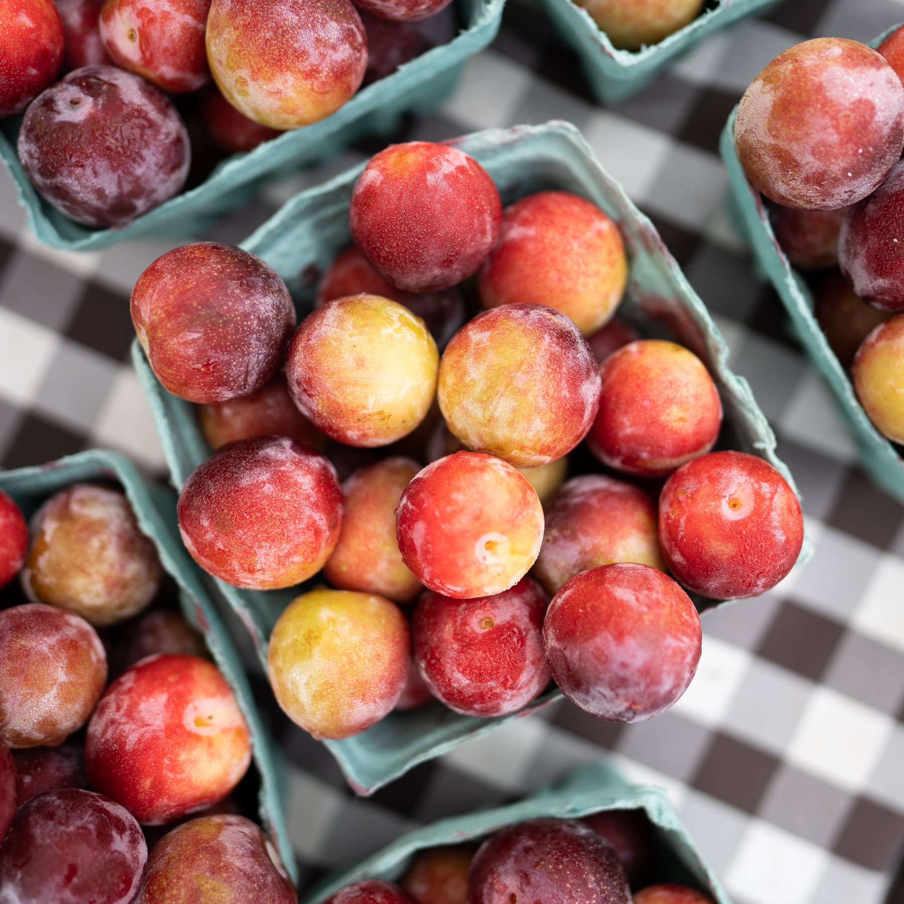 Princeton Farmers Market