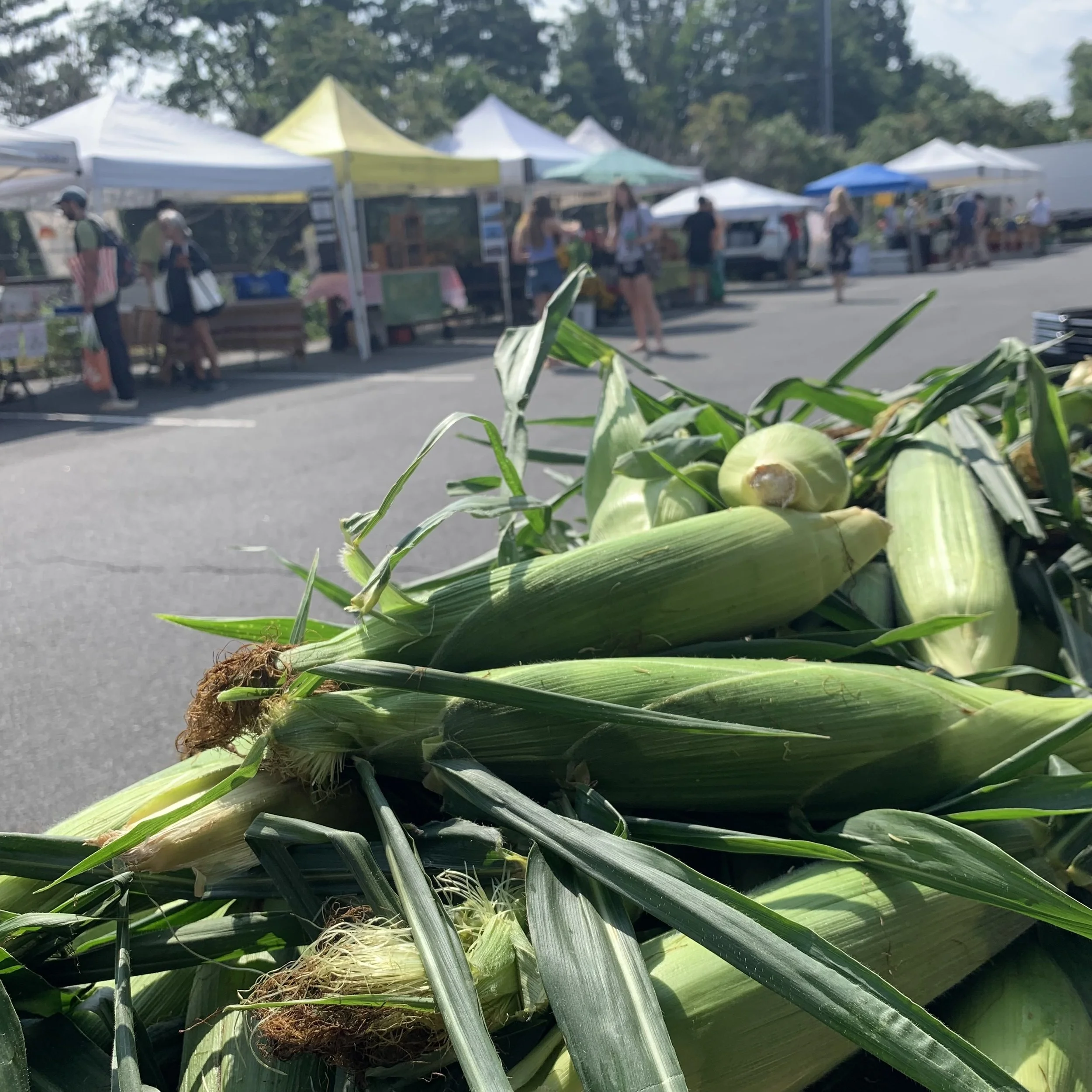 Princeton Farmers Market