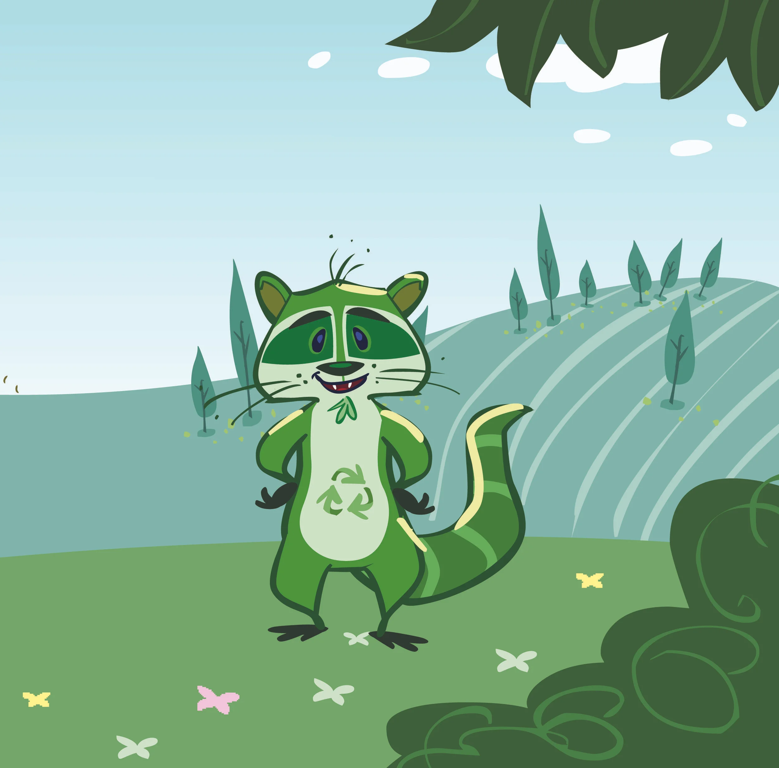 racoon.jpg