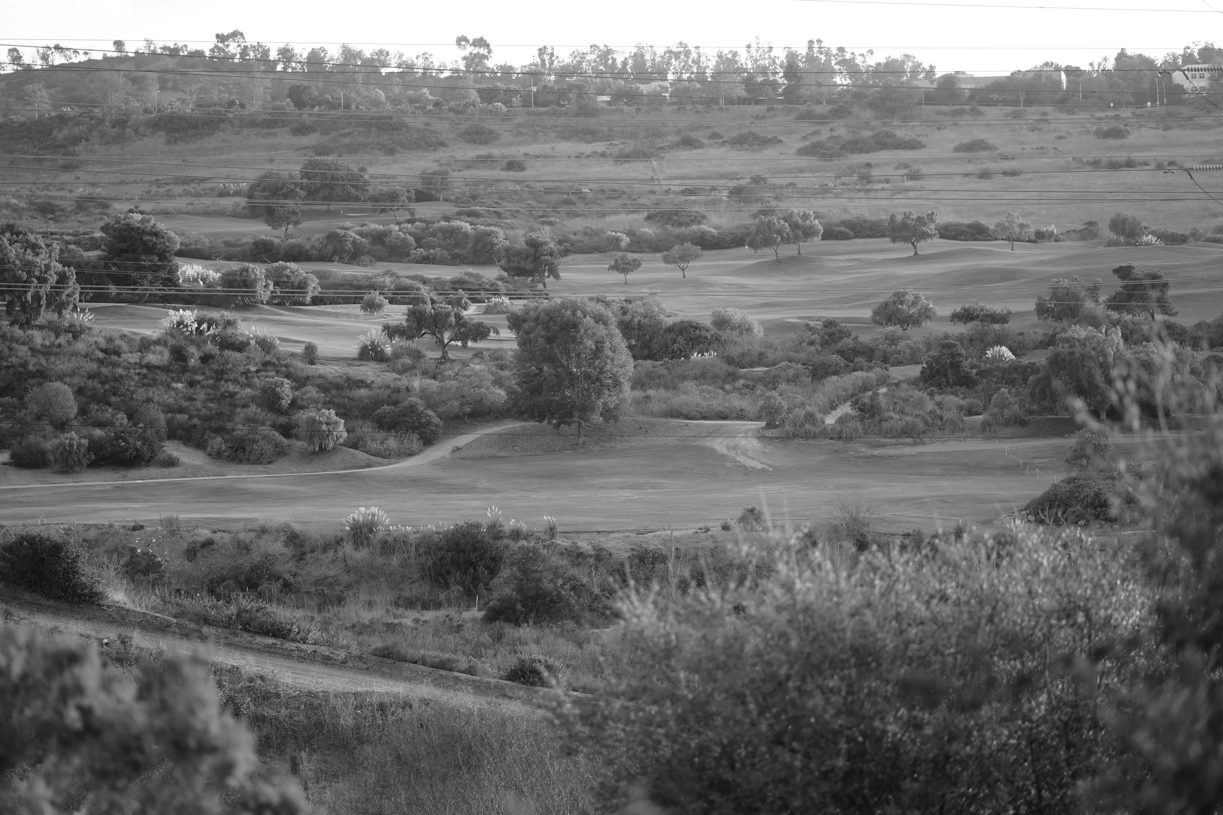 Saddleback San Clemente: View From Patio 