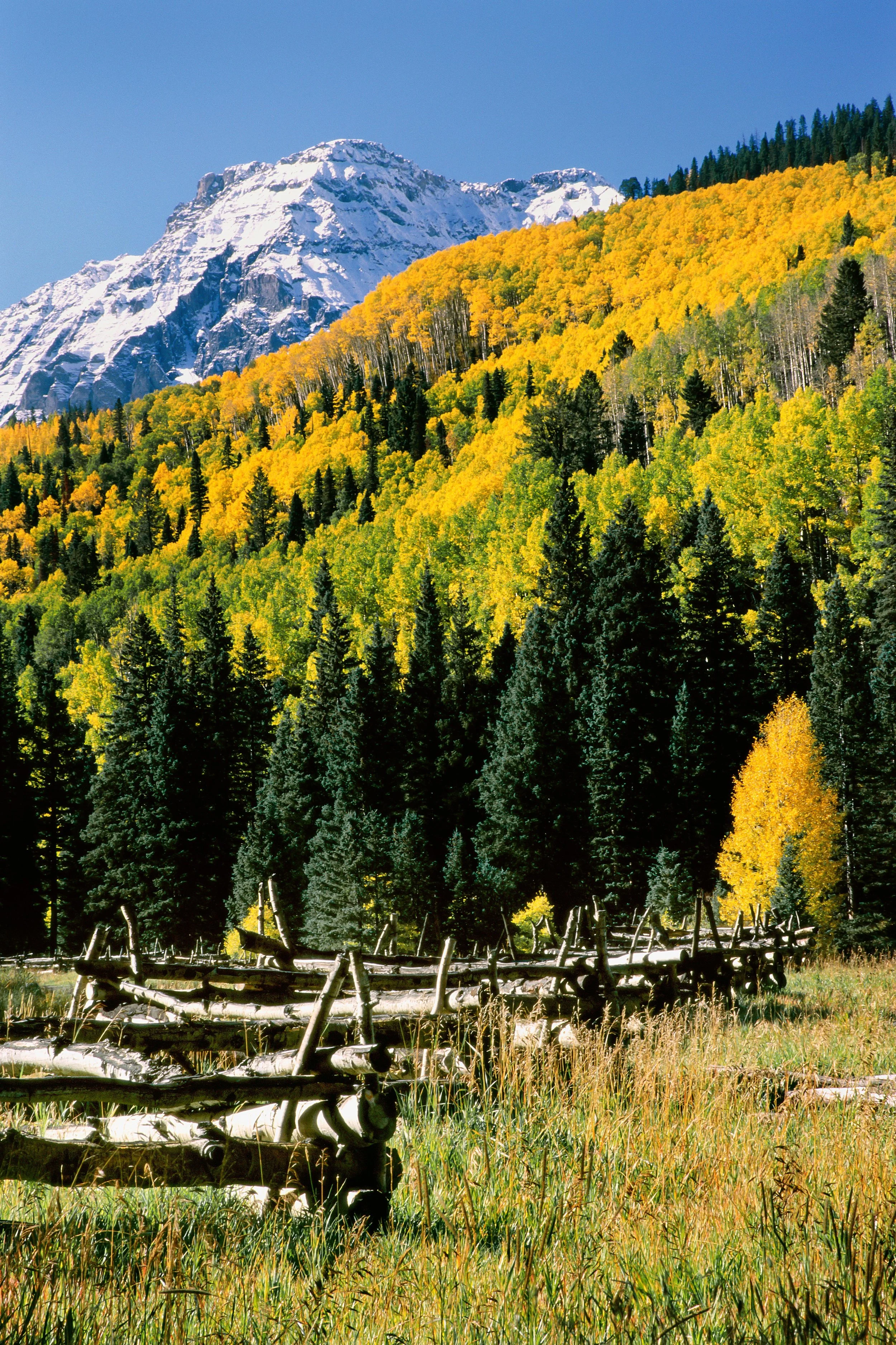Log Fence East Dallas Divide