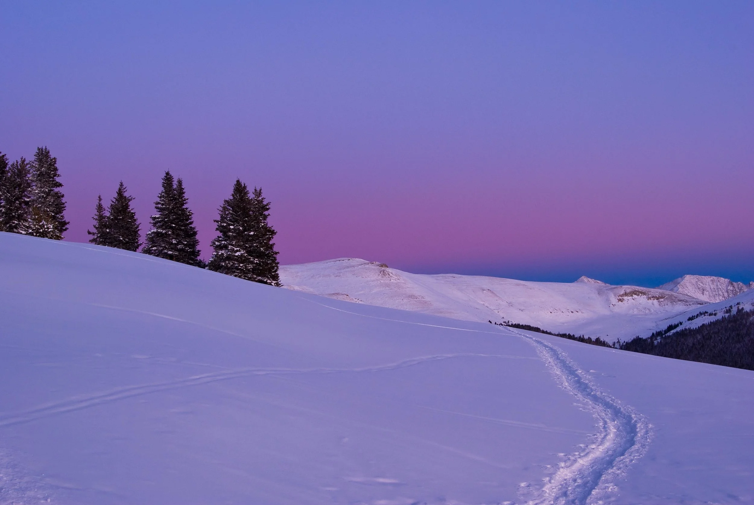 Rdoak web site photos-194.JPG