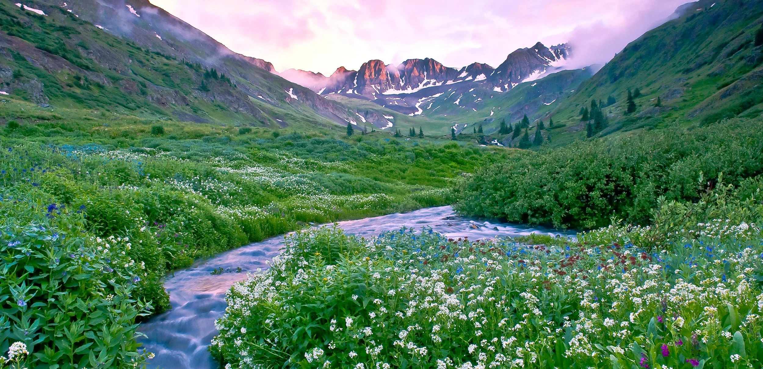 American Basin (P)