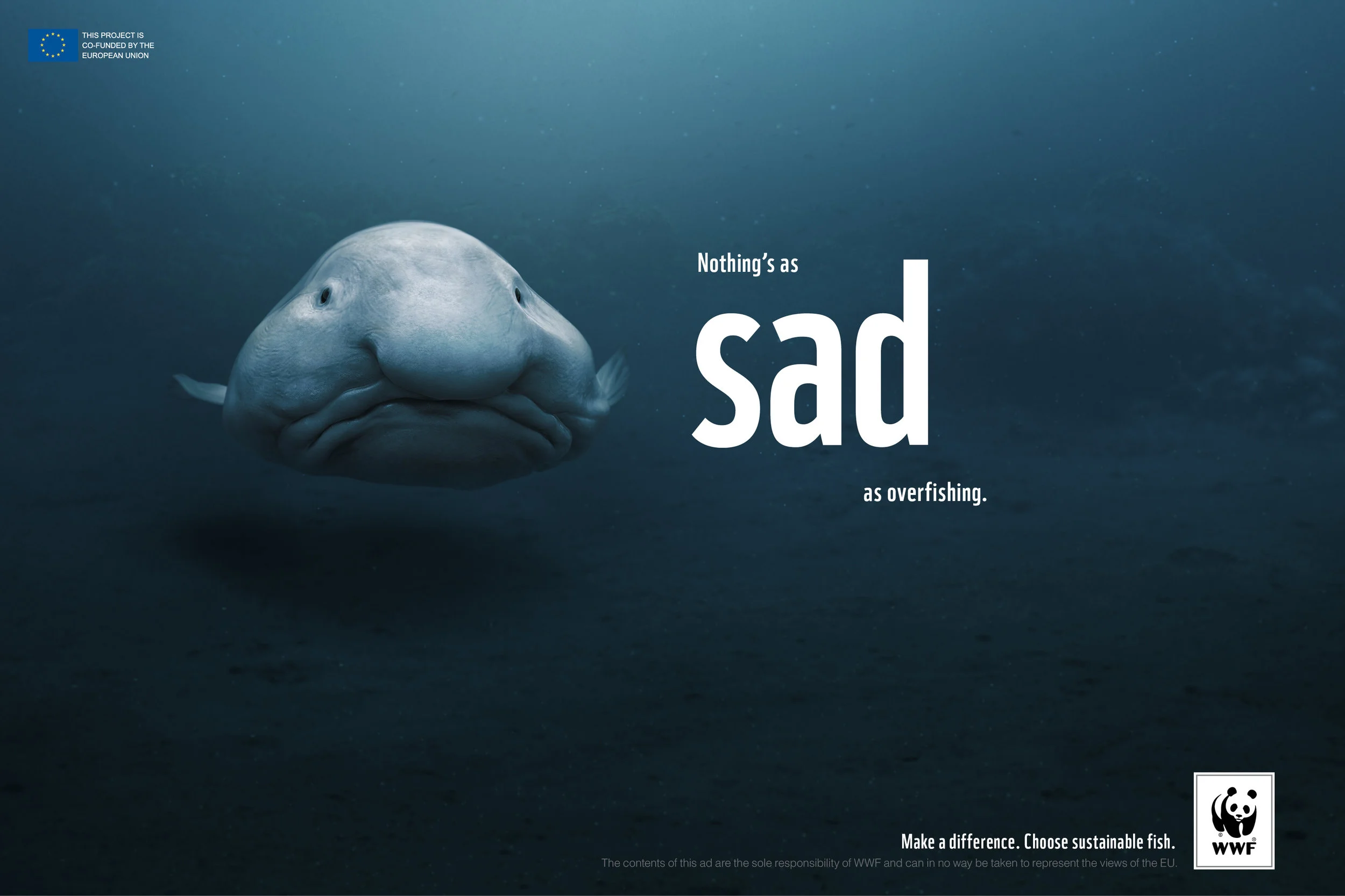 wwf_sad_3307.jpg