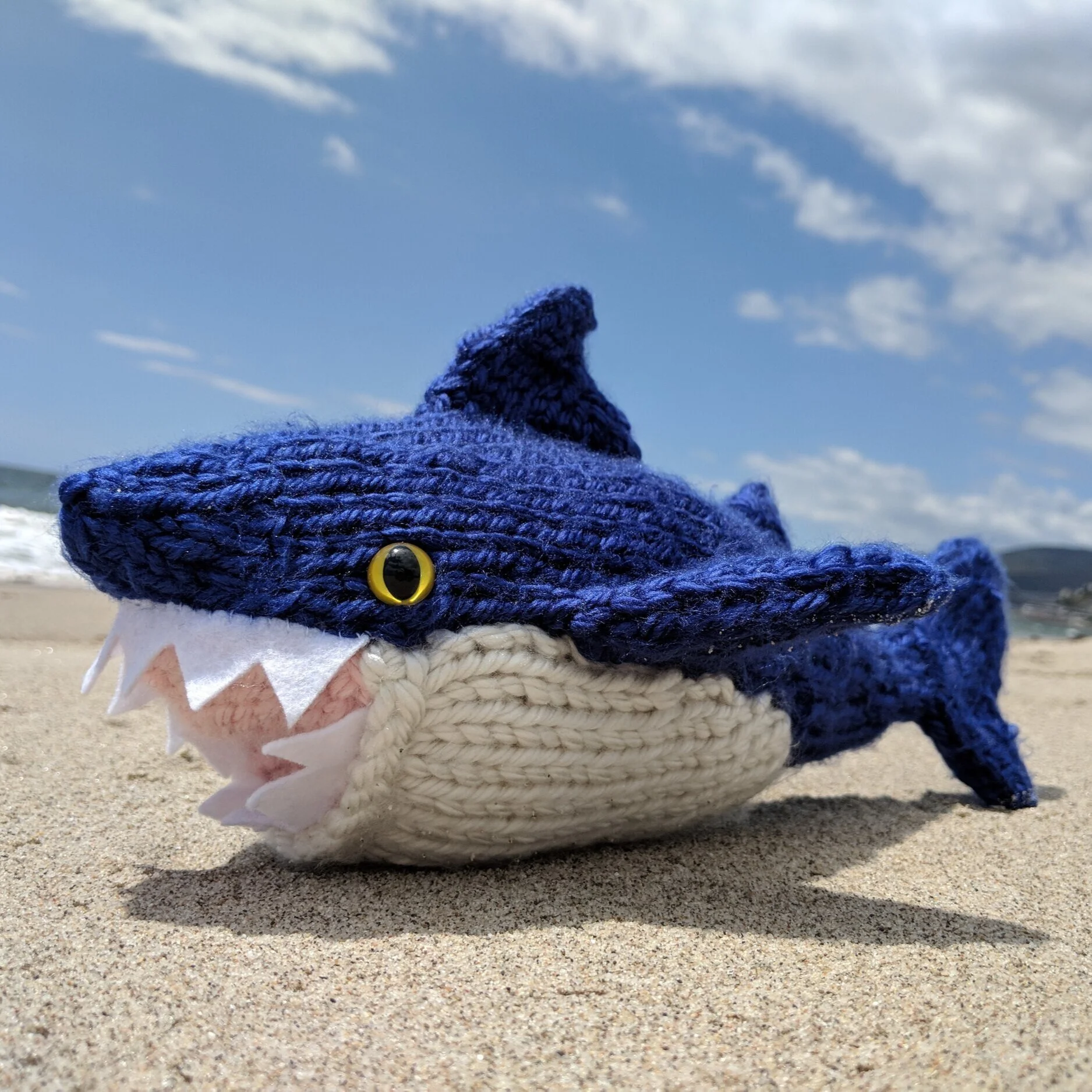 threequarter_shark_onbeach.jpg