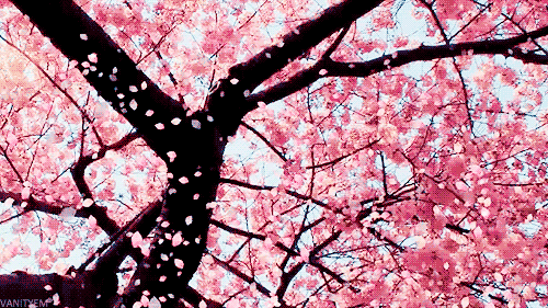spring.gif