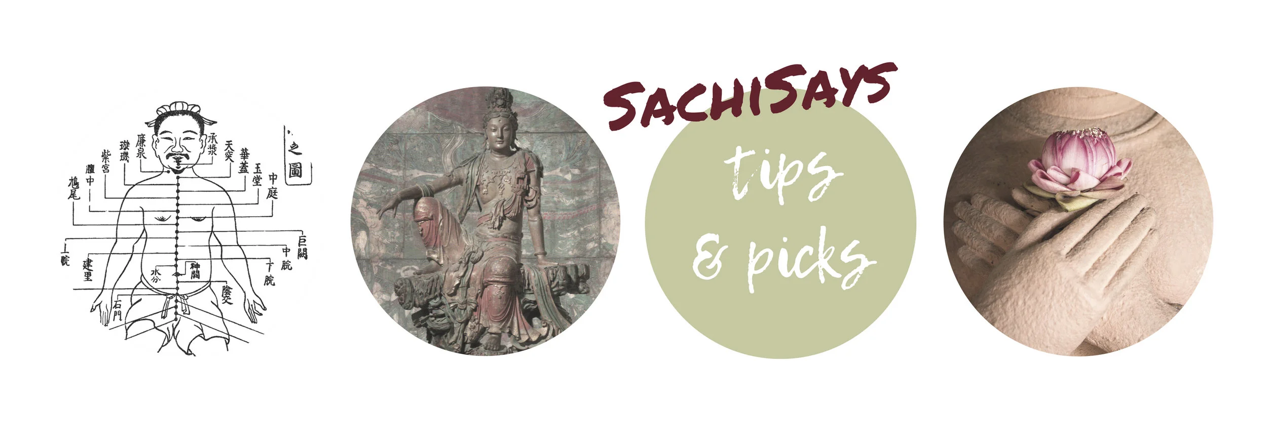 SachiSays_Blog_Banner_Final.jpg