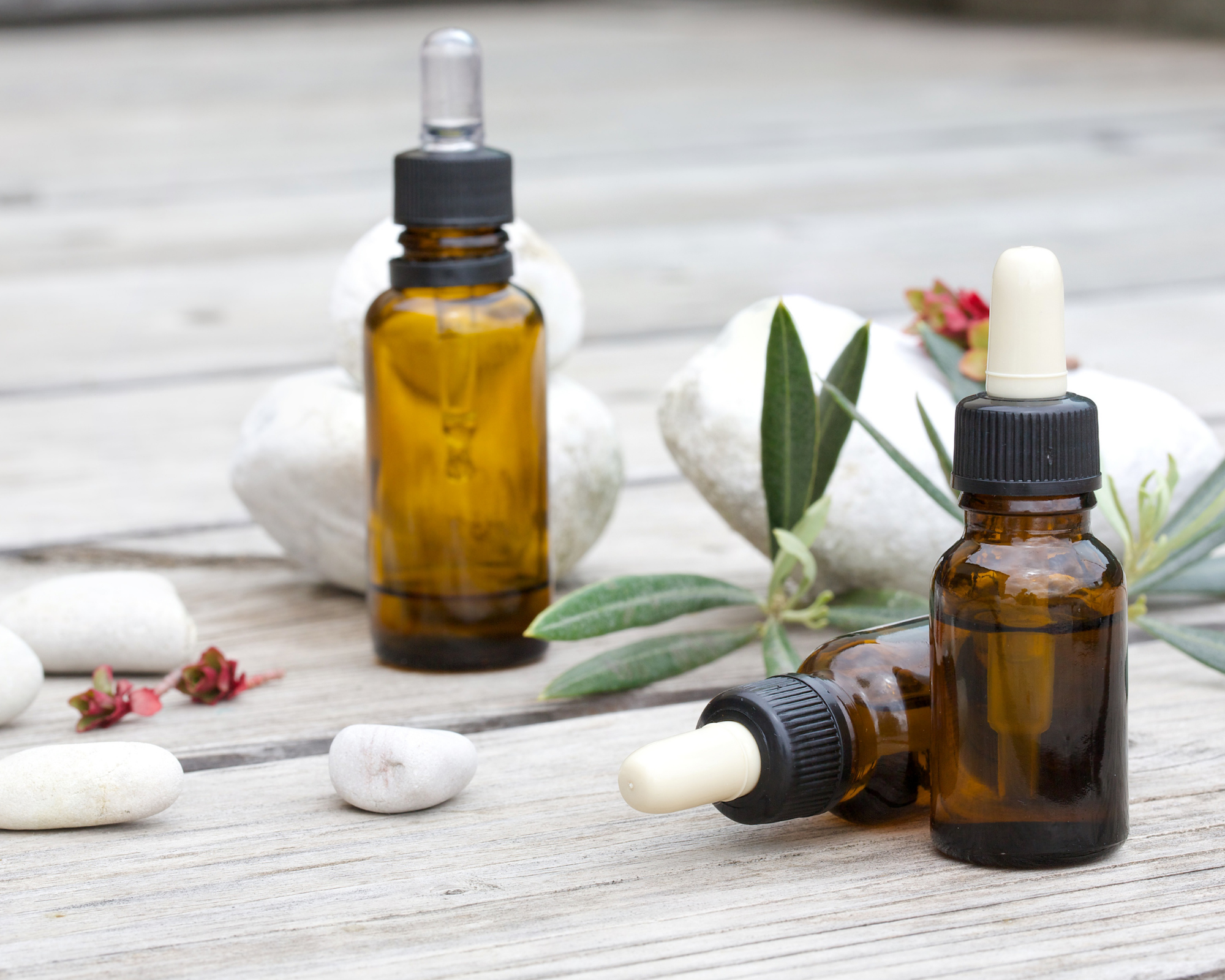 Protection Protocol Against Any Infection: Viral, Fungal & Bacteria (5 Handouts)