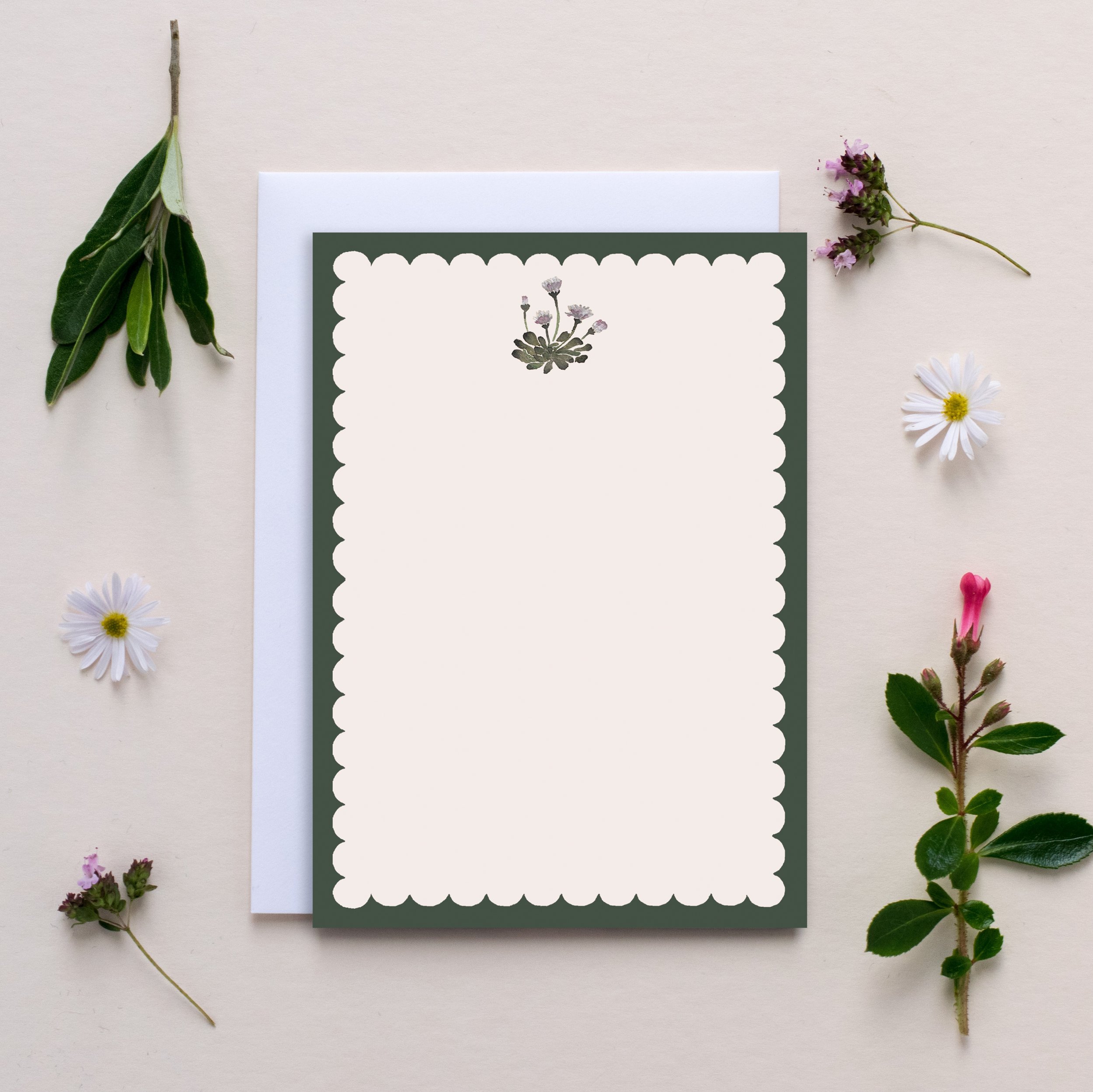 Blank scallop daisy note.jpg