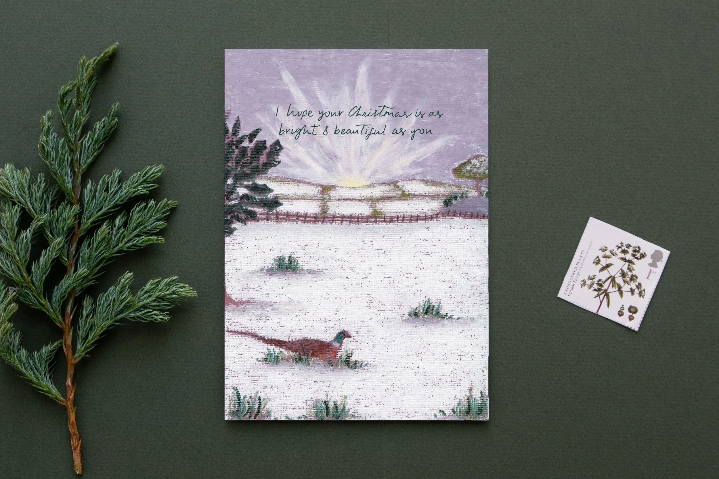 'Bright & Beautiful Pheasant' Christmas Card