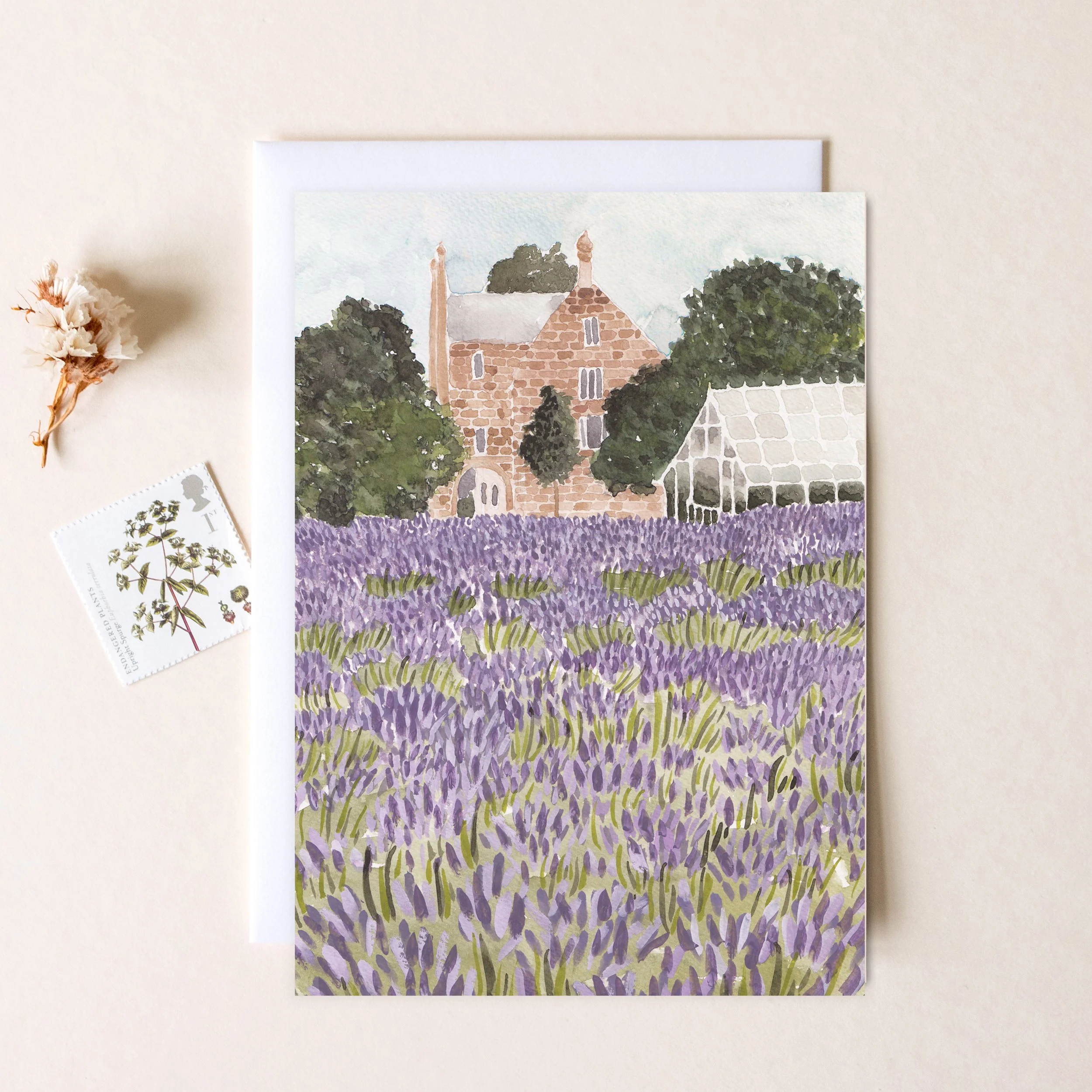 SECONDS Pack Of 6 'Norfolk Lavender' Flat Notecards