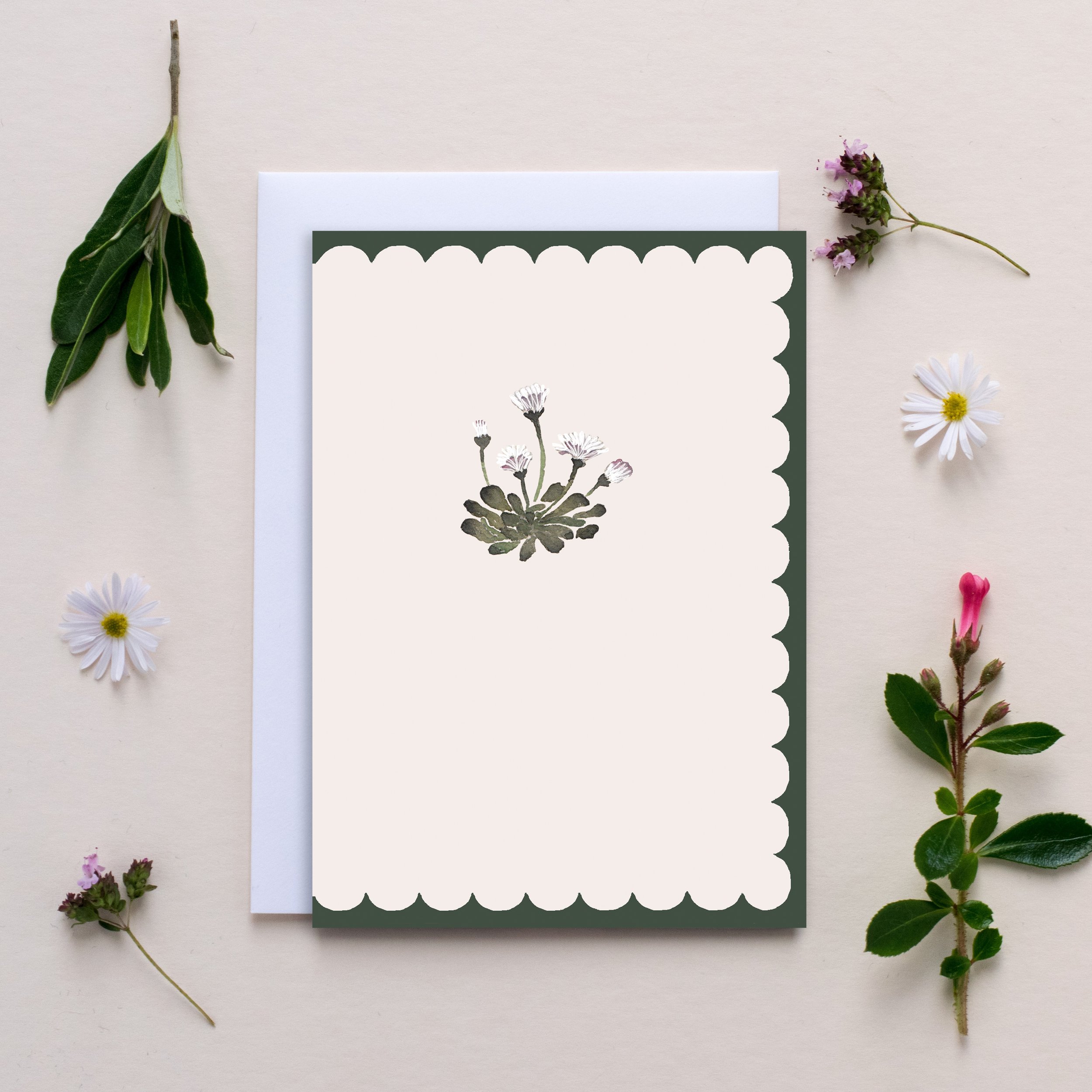 Blank scallop daisy card.jpg