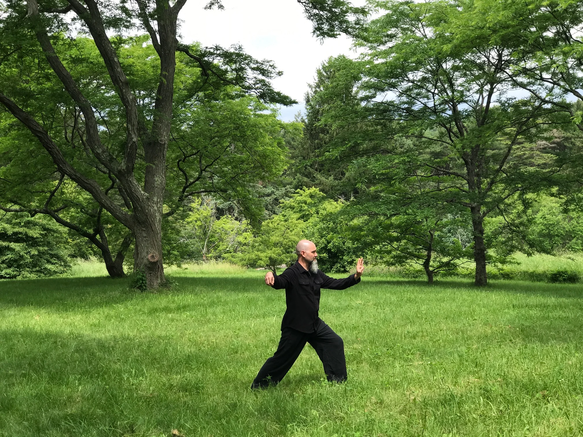 Tai Chi 1.JPG