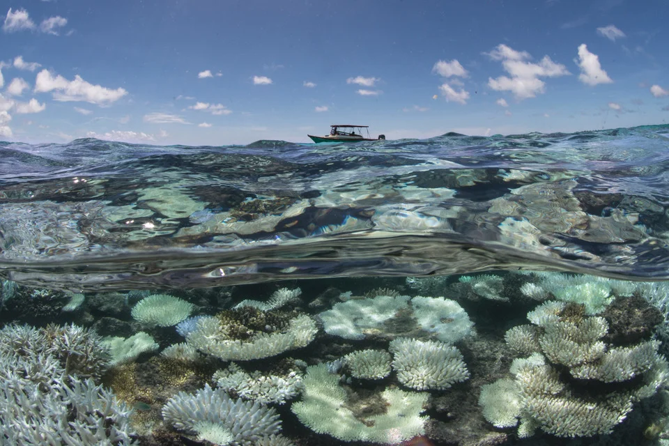 the Maldives, 2016 credit: the ocean agency / xl catlin seaview survey