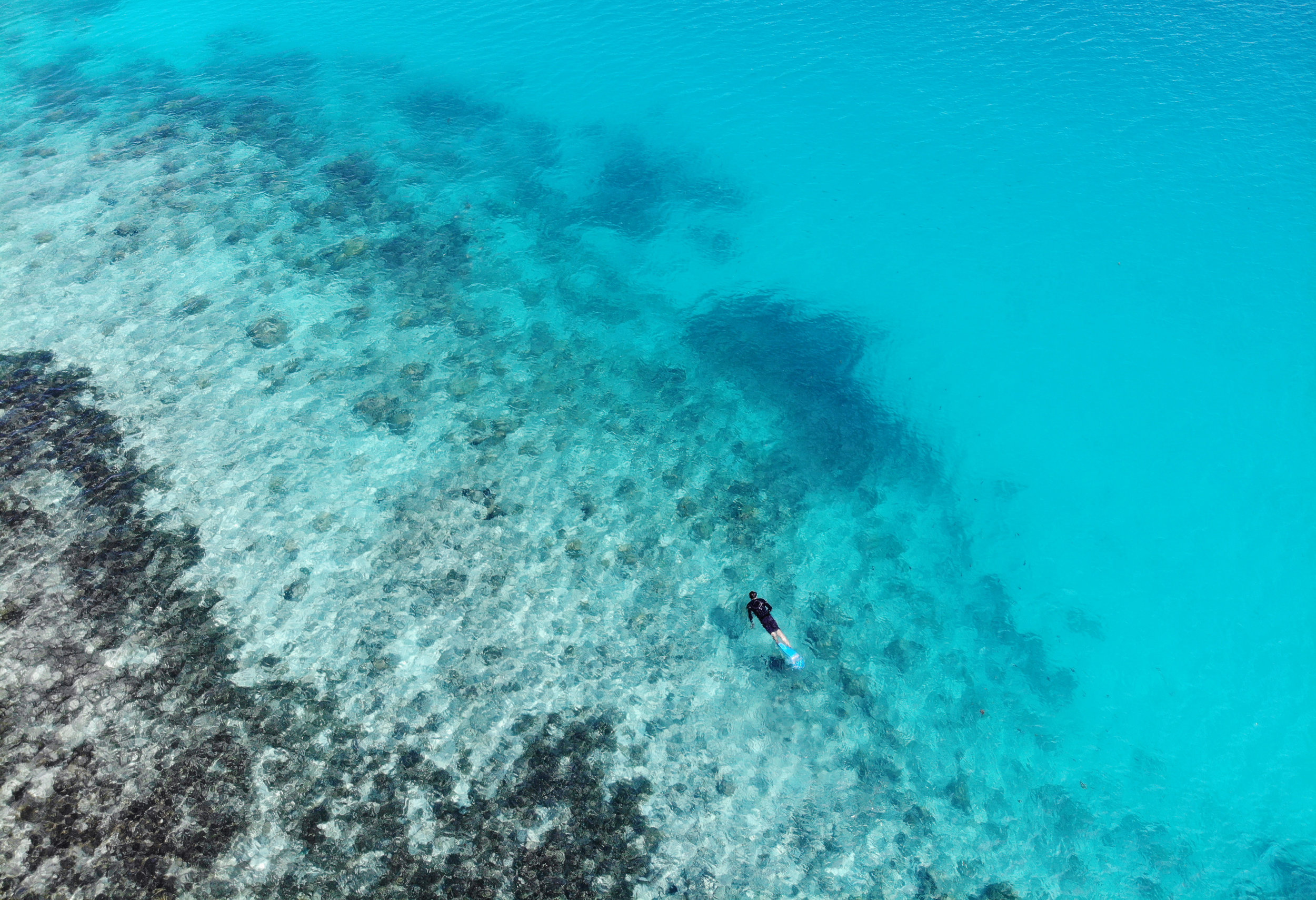 SEYCHELLES credit: THE OCEAN AGENCY / coral reef image bank