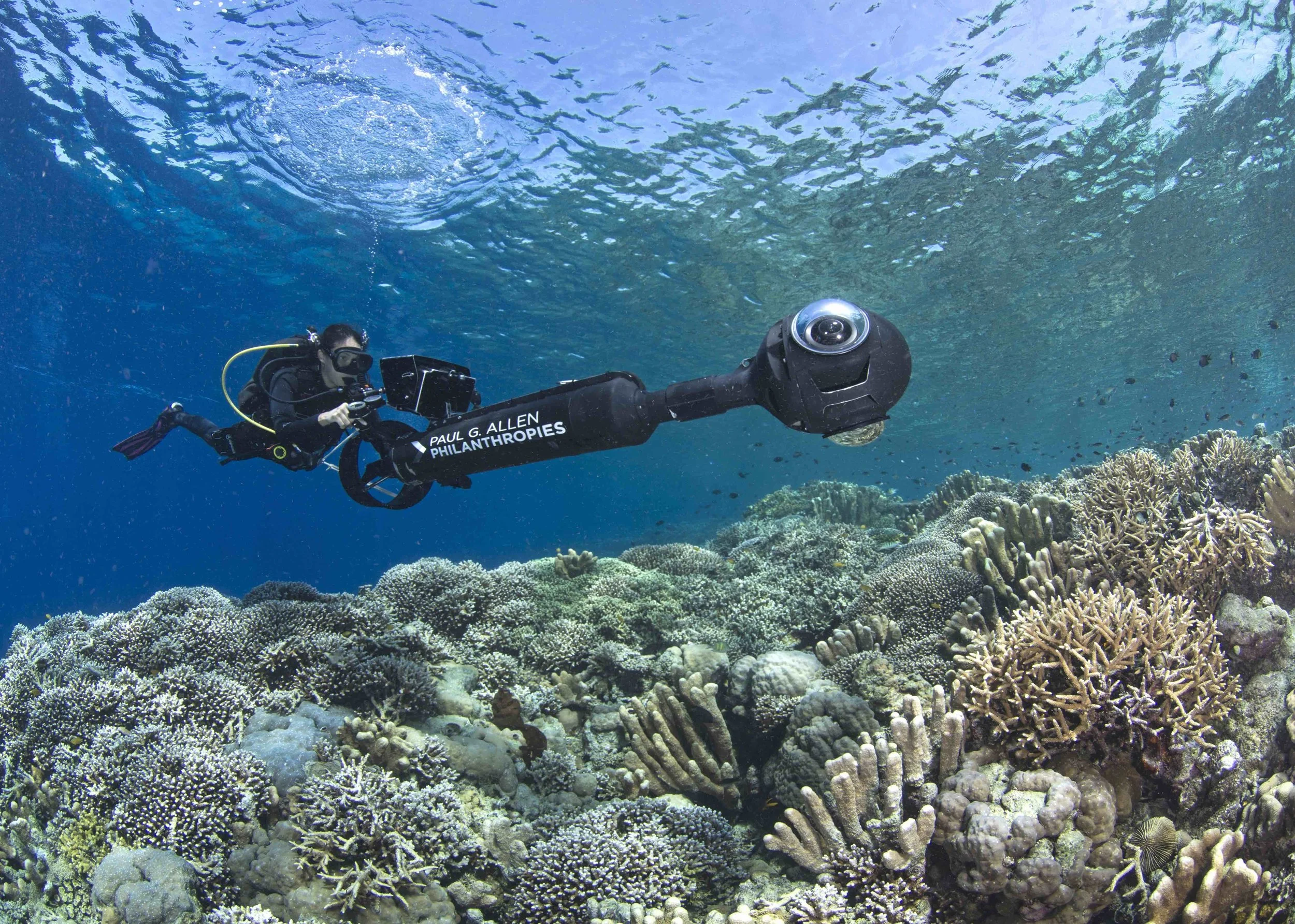 03 - A scientist conducts a reef survey CREDIT: The Ocean Agency / paul g. allen philanthropies