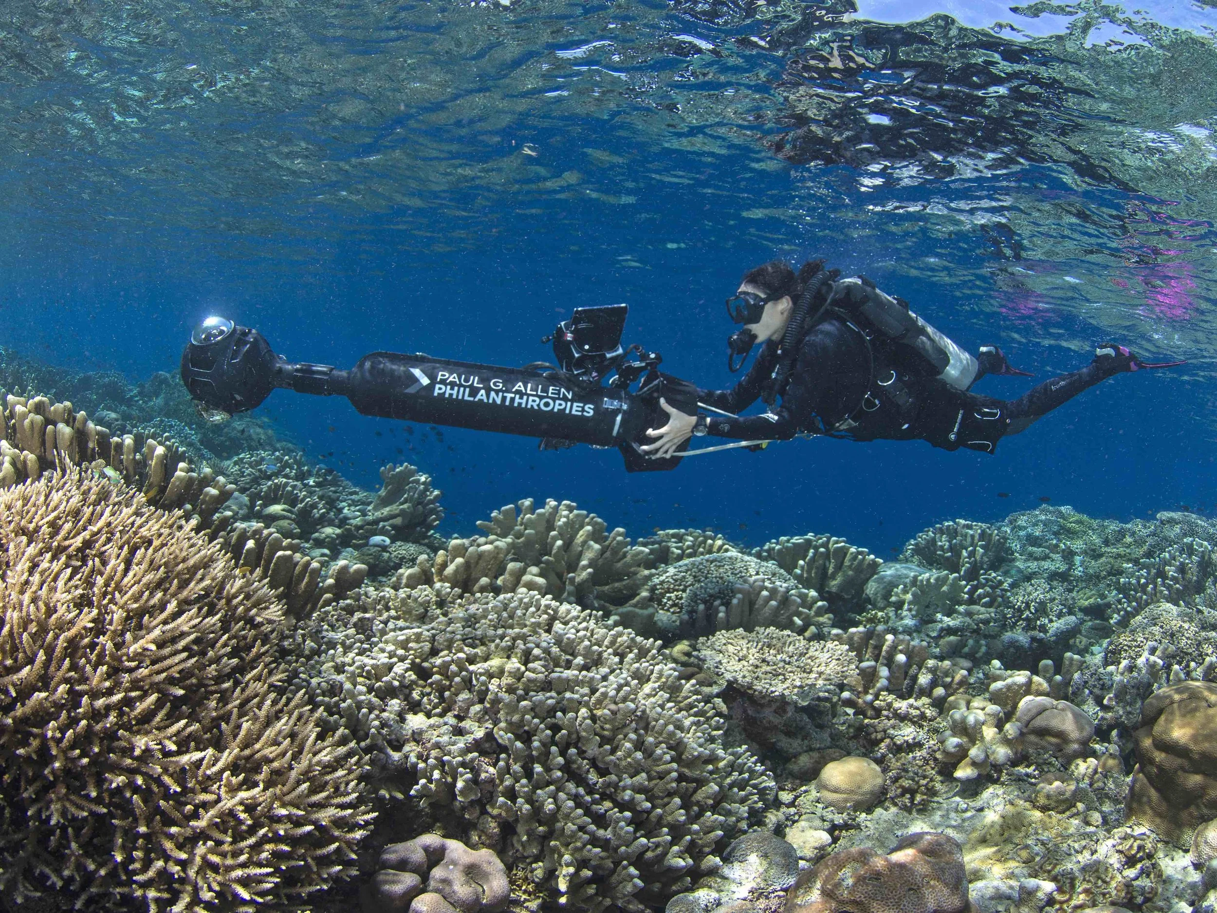 05 - A scientist SURVEYS A CORAL REEF CREDIT: The Ocean Agency / paul g. allen philanthropies