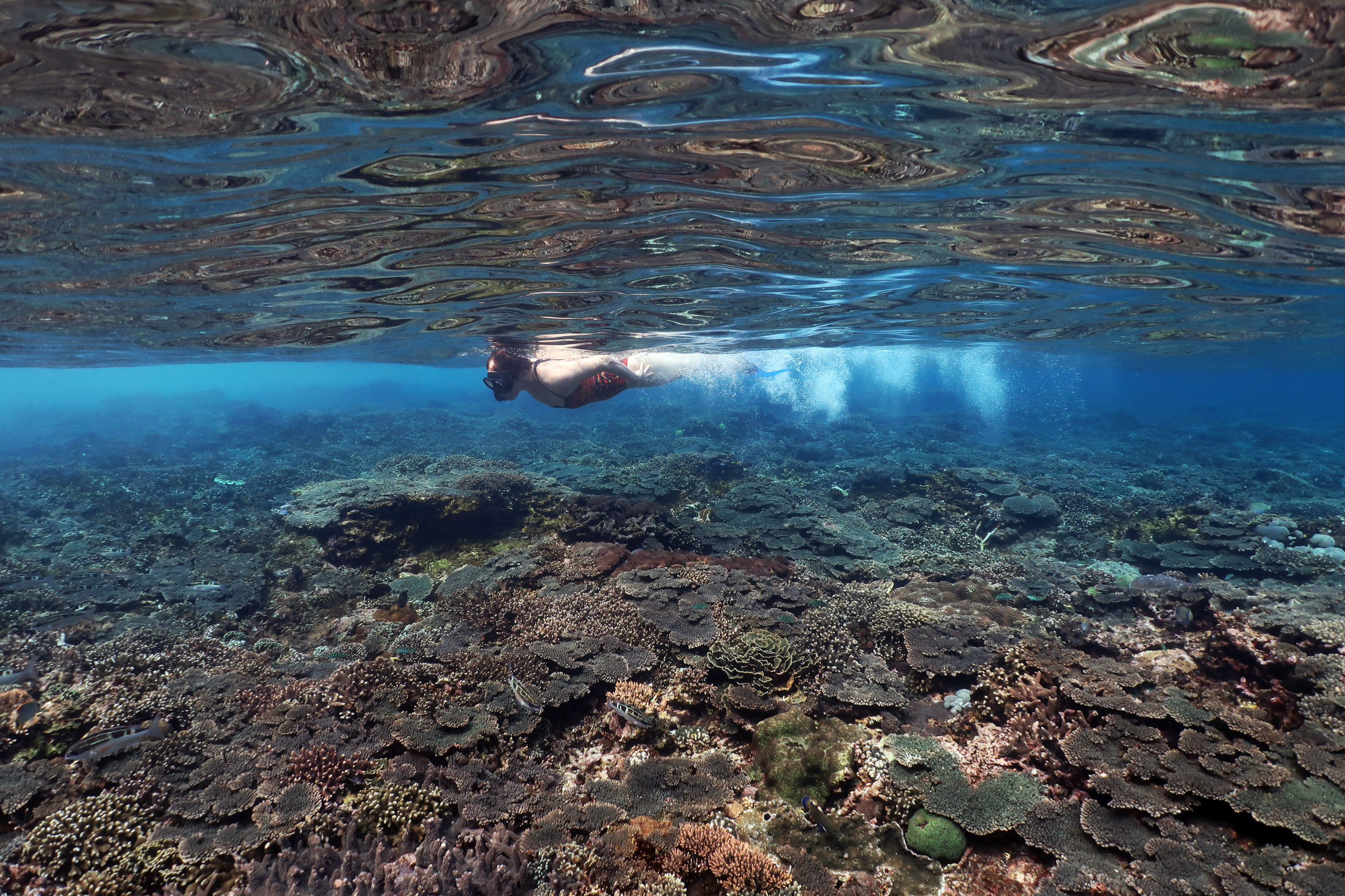 snorkler in nusa penida credit: Anett Szaszi / coral reef image bank