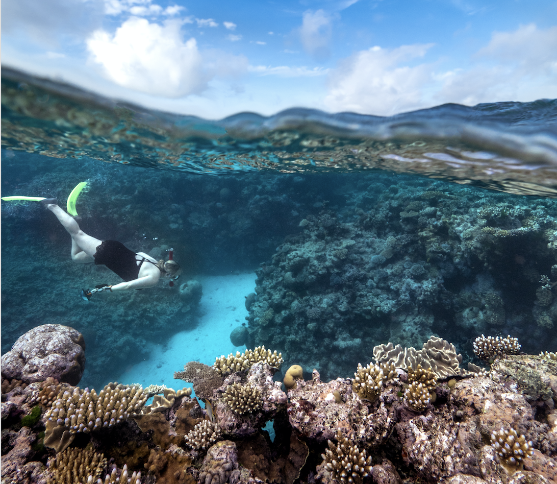 snorkeler on reef credit: mark fitz / coral reef image bank