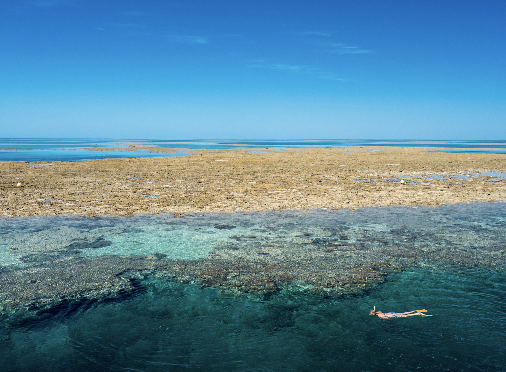 snorkeler on reef credit: Mark fitz / coral reef image bank