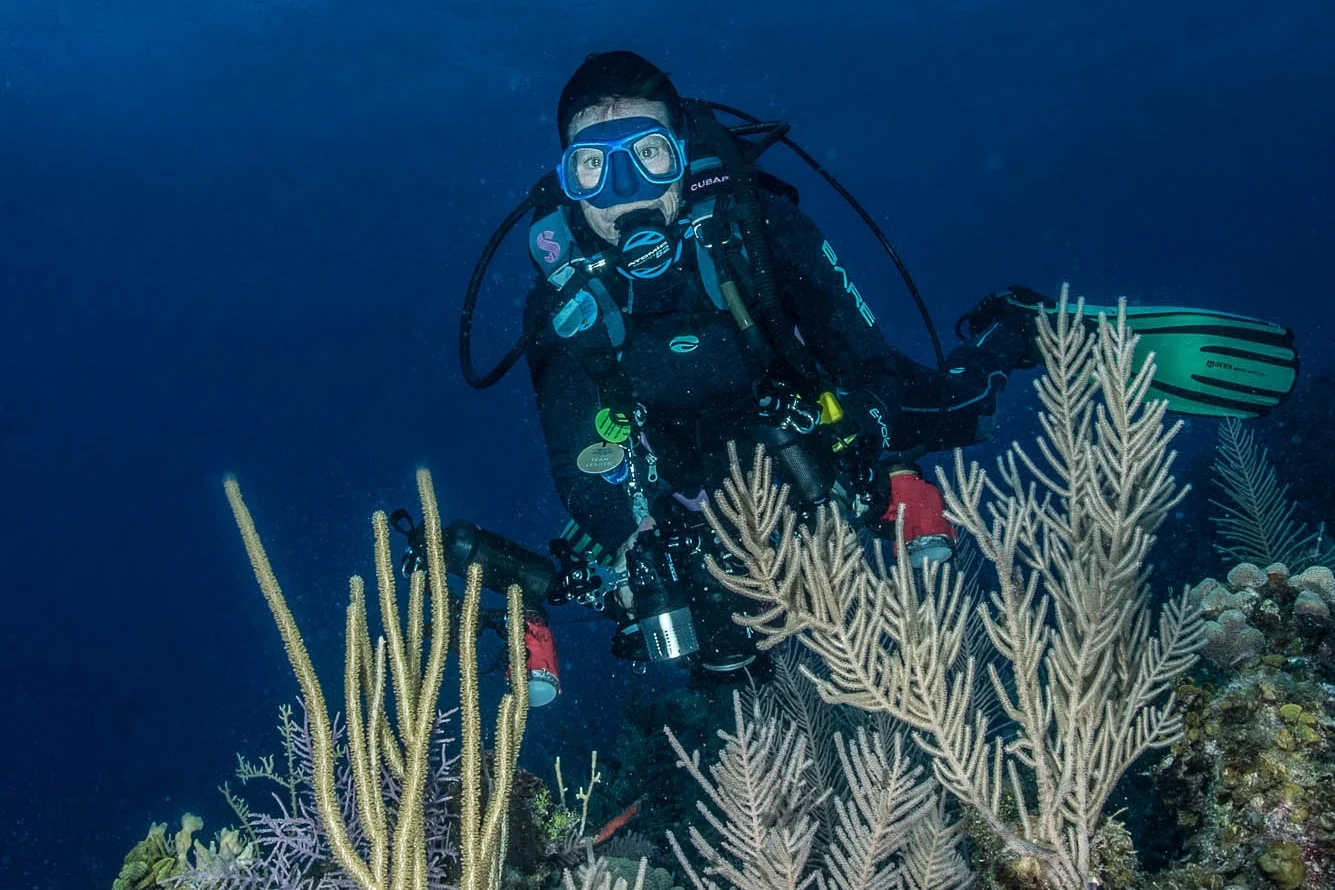 diver with boat, Jardines De La Reina credit: DAVID GROSS / CORAL REEF IMAGE BANK